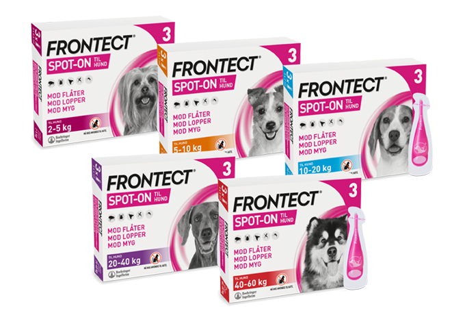 Frontect