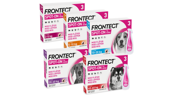 Frontect family 578x322.png