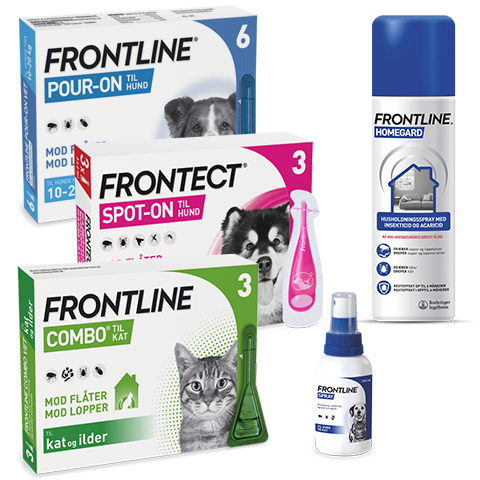 Frontline Frontect