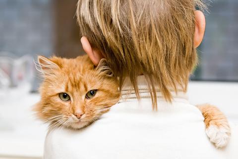 Vaccination = omtanke for din egen og andres katte